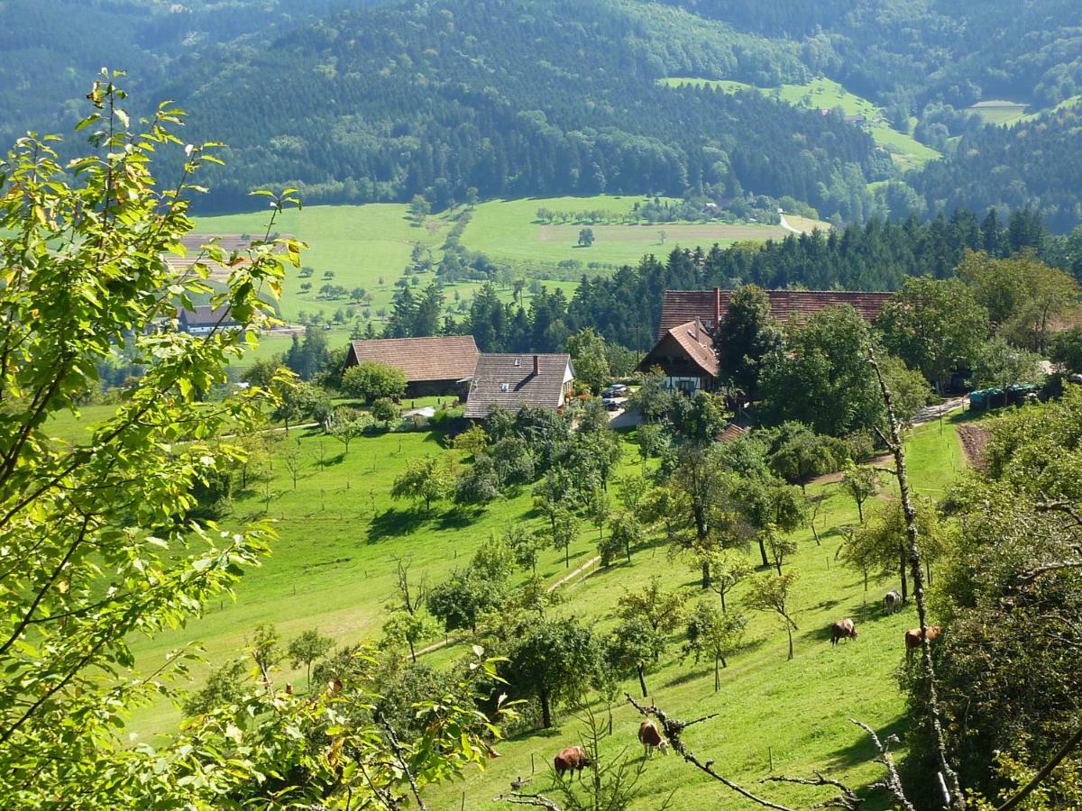 Ferienhaus Eck Villa Zell am Harmersbach Exterior foto