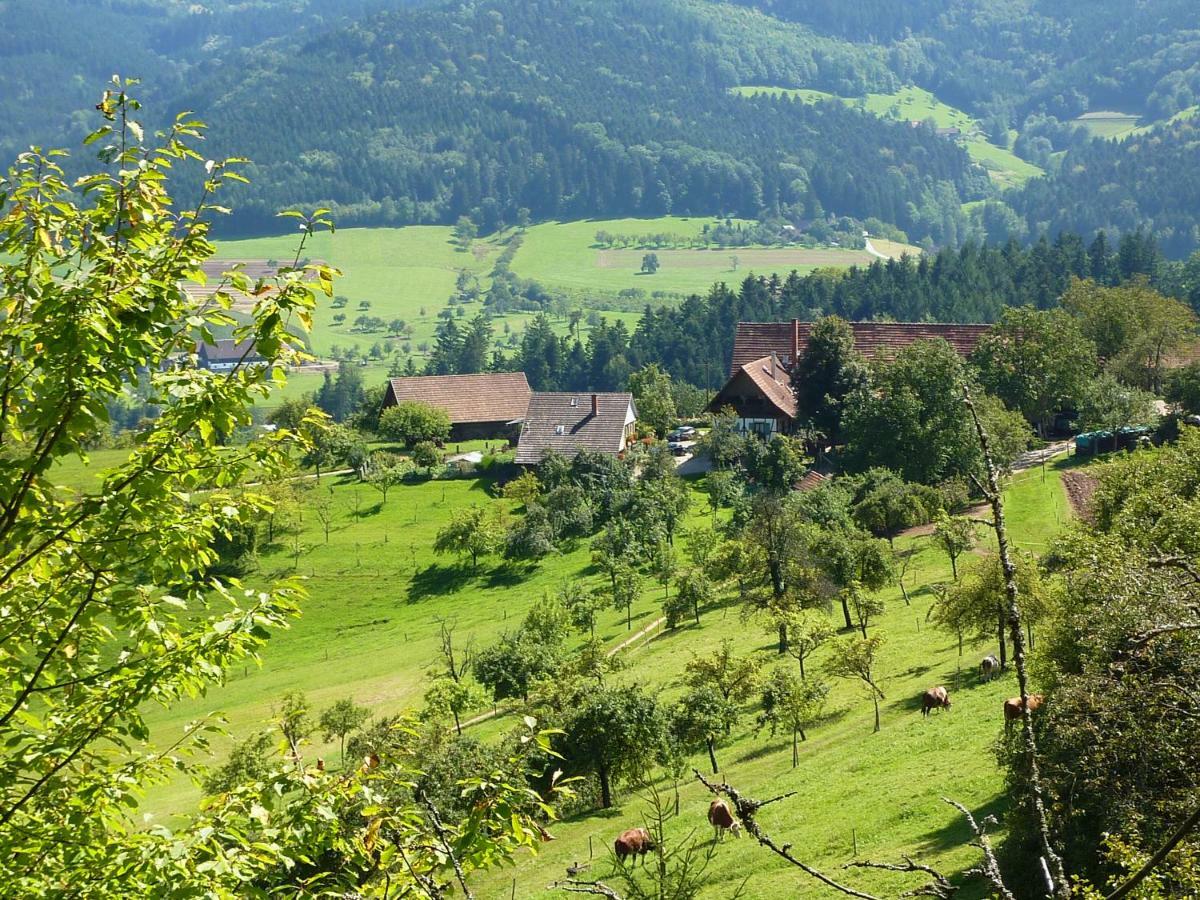Ferienhaus Eck Zell am Harmersbach Exterior foto